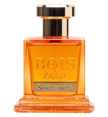 Bois 1920 Firenze Scorzaforza Eau de Parfum 100 ml